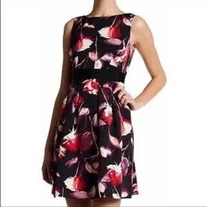 Adrianna Papell floral fit n flare dress 12 Petite NWT